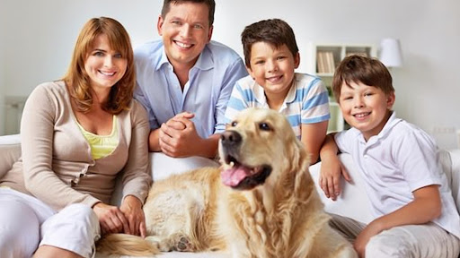 Pet Care Service «Green Paws Pet Market», reviews and photos, 10037 Cleary Blvd, Plantation, FL 33324, USA