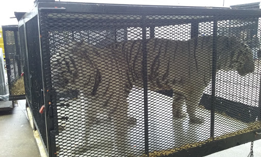 Event Venue «Dow Event Center», reviews and photos, 303 Johnson St, Saginaw, MI 48607, USA