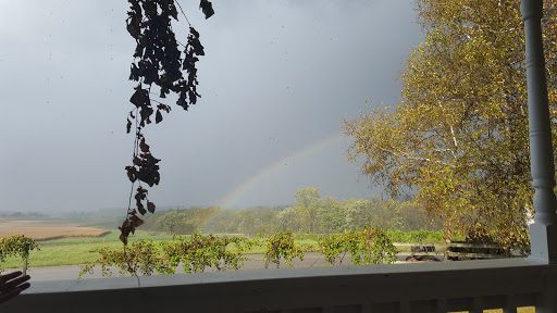 Winery «Galena Cellars Vineyard», reviews and photos, 4746 N Ford Rd, Galena, IL 61036, USA