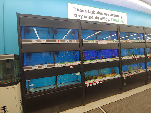 Pet Supply Store «Pet Supplies Plus», reviews and photos, 7570 Pearl Rd, Middleburg Heights, OH 44130, USA