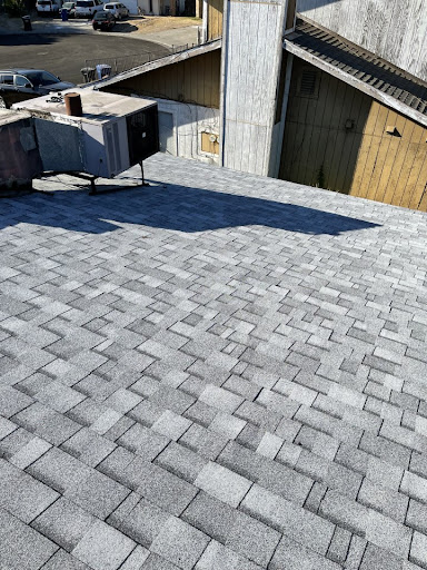 All Roof Pros