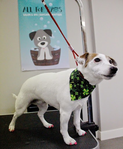 All For Paws, 246 W Manson Hwy #6, Chelan, WA 98816, USA, 