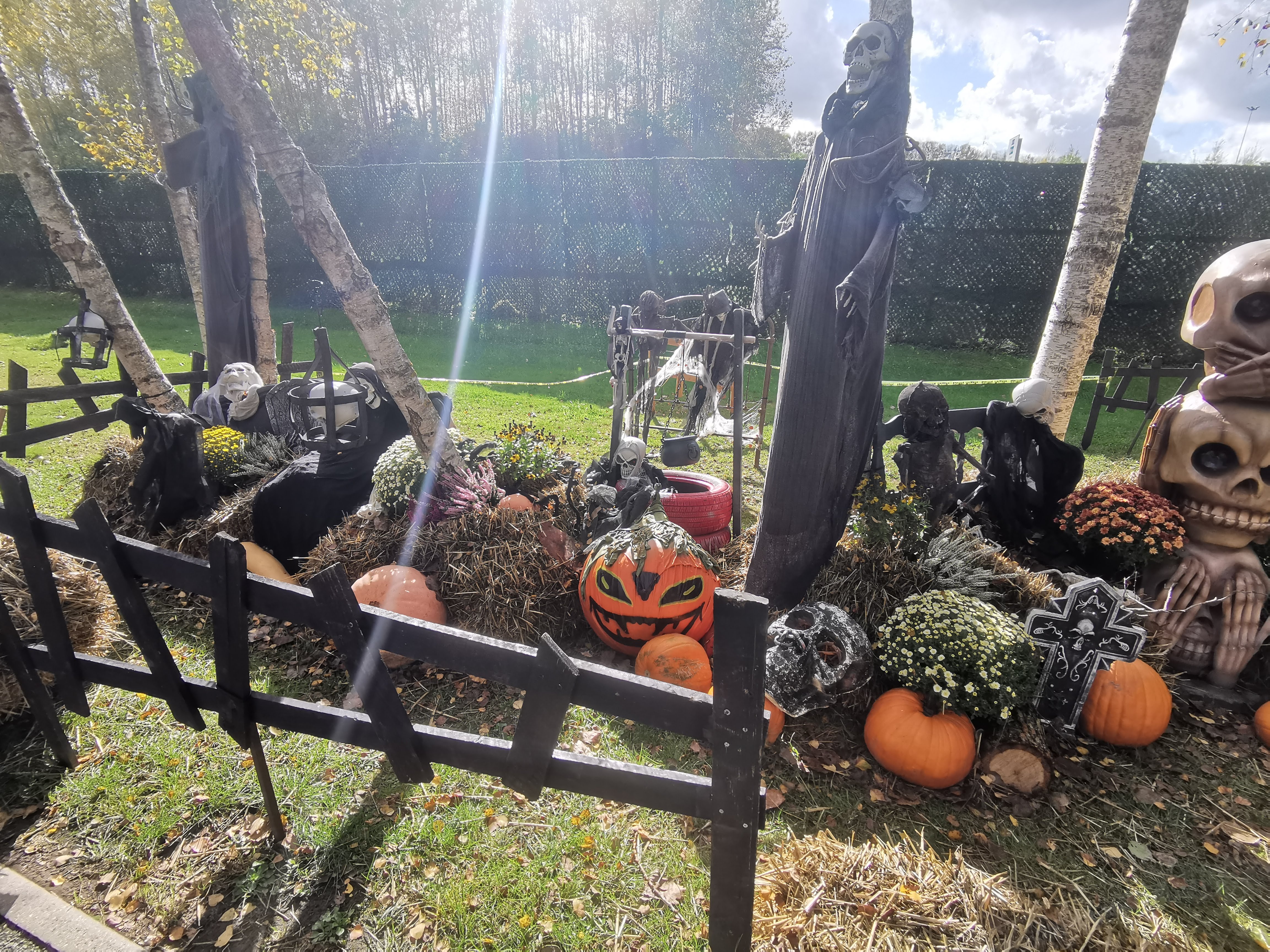 Photo n° 6 de l'avis de Isabelle.o fait le 29/10/2023 à 20:14