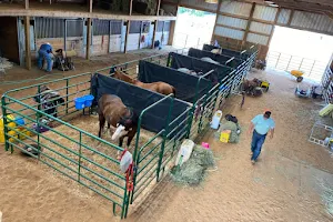 Carey Horse Farm image