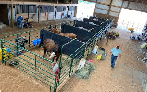 Carey Horse Farm image