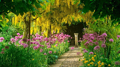 AD Gartenbau - Garten- und Landschaftsbau in Berlin