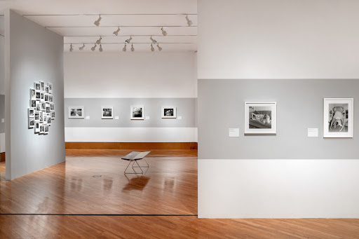 Art Museum «Frost Art Museum», reviews and photos, 10975 SW 17th St, Miami, FL 33199, USA