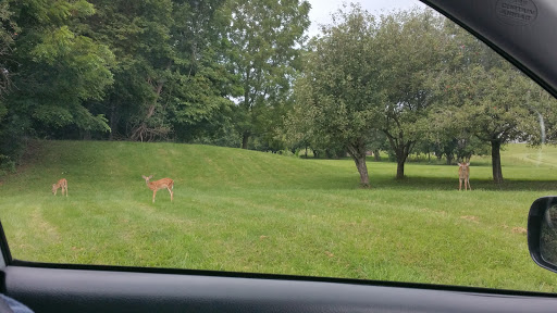 Golf Course «Blackwood Golf Course», reviews and photos, 510 Red Corner Rd, Douglassville, PA 19518, USA