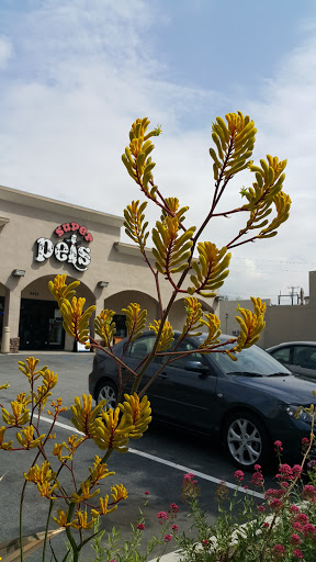 Pet Store «Super Pets», reviews and photos, 9403 E Las Tunas Dr, Temple City, CA 91780, USA