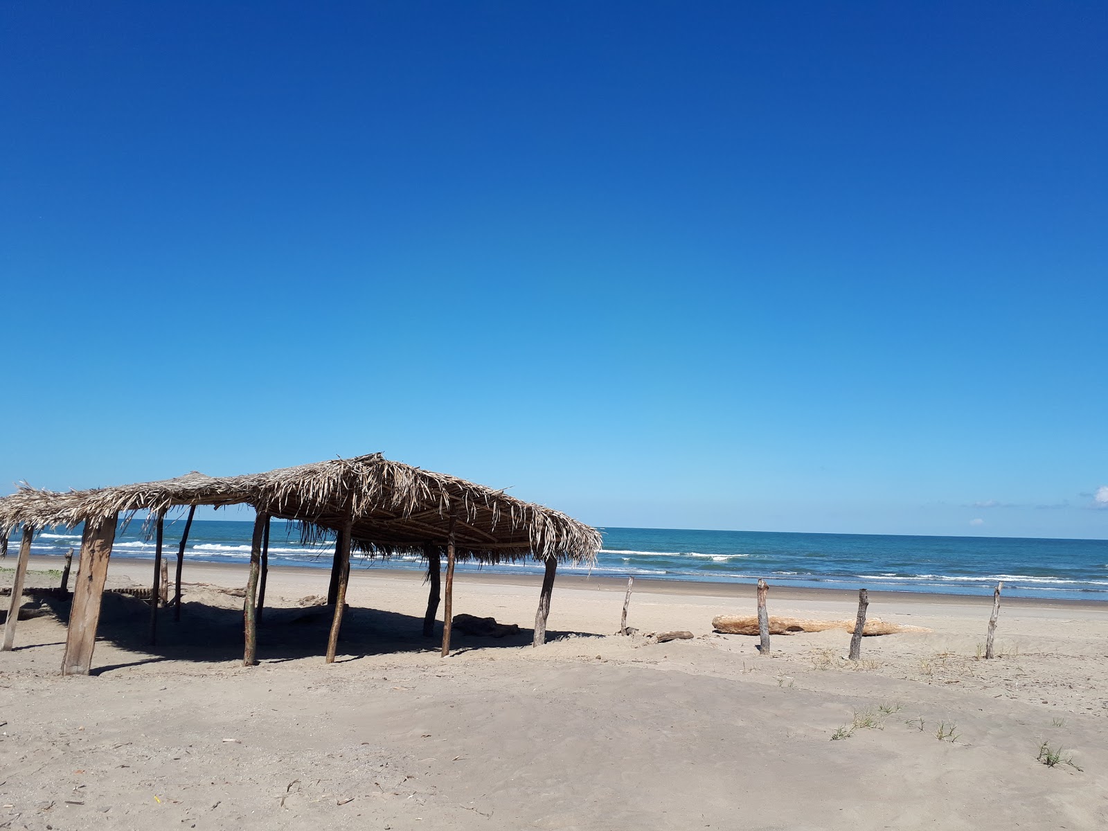 Playa Tecolutla photo #7