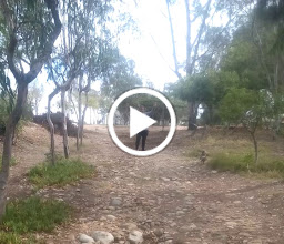 Parque Mirador photo