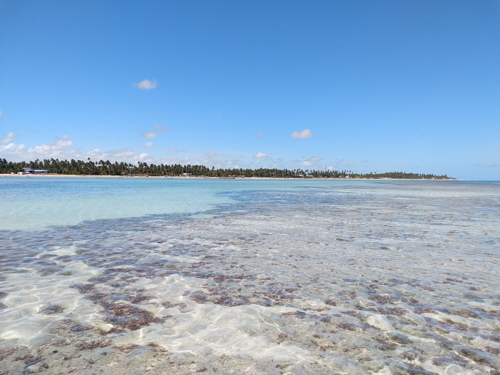 Photo de Plage de Peroba - endroit populaire parmi les connaisseurs de la détente