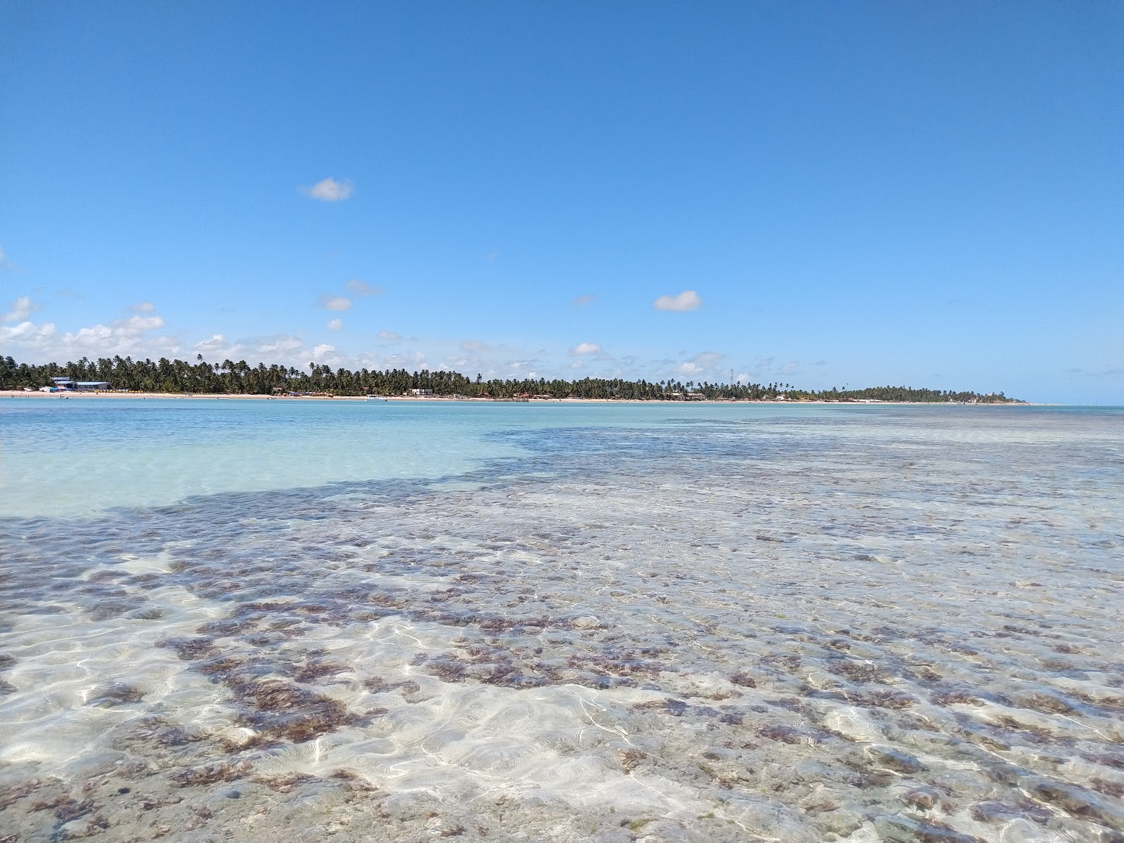 Foto di Spiaggia di Peroba e il suo bellissimo paesaggio