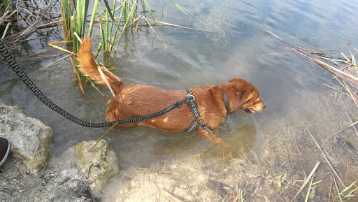 Kankakee County Animal Control