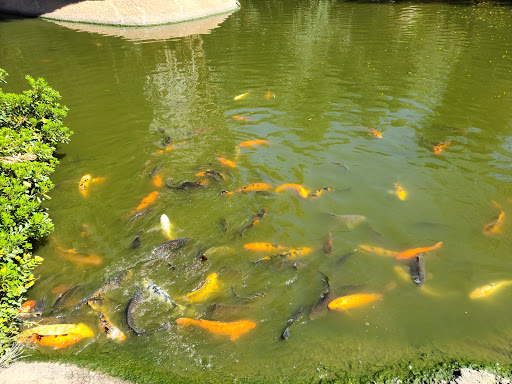 Zoo «Wildlife World Zoo, Aquarium & Safari Park», reviews and photos, 16501 W Northern Ave, Litchfield Park, AZ 85340, USA