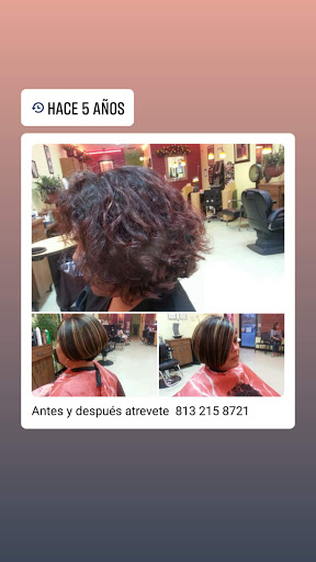 Beauty Salon «Cut N Curl Beauty Salon», reviews and photos, 6722 Hanley Rd, Tampa, FL 33634, USA