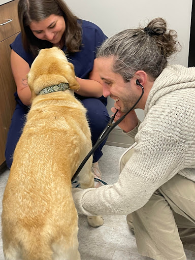 Nimbus Pet Hospital image