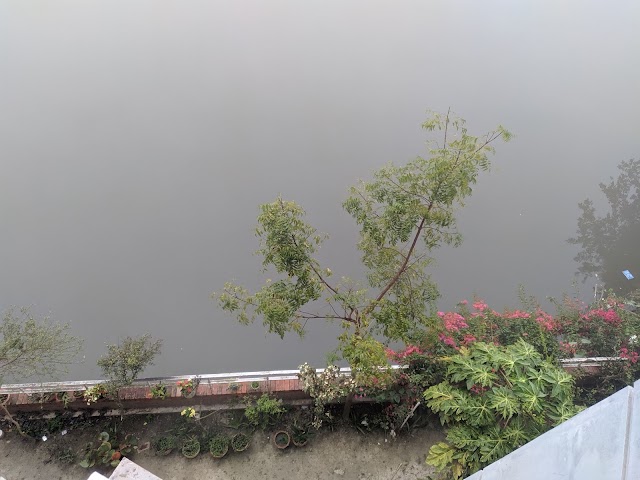 সিসভাস লেকভিউ - Doctor in Khulna