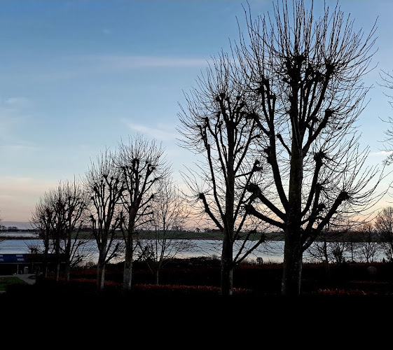 Comentarii opinii despre Skælskør Kirkegård