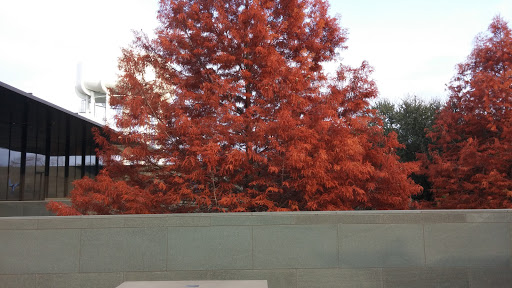 Museum «McNay Art Museum», reviews and photos, 6000 N New Braunfels Ave, San Antonio, TX 78209, USA