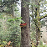 Photo n°2 de l'avis de Danny.e fait le 09/03/2023 à 12:43 sur le  Zum Steinwald à Loßburg