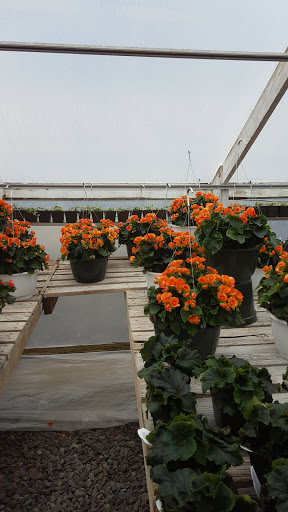 Garden Center «Nanticoke Gardens», reviews and photos, 1543 Union Center Maine Hwy, Endicott, NY 13760, USA