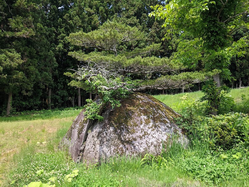 様石（ためしいし）・日光石