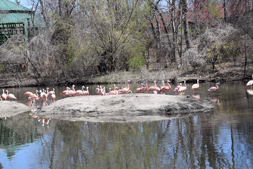 Zoo «World of Birds», reviews and photos, Boston Rd, Bronx, NY 10460, USA