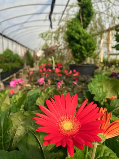 Garden Center «Schott Gardens», reviews and photos, 2209 Nashville Rd, Bowling Green, KY 42101, USA