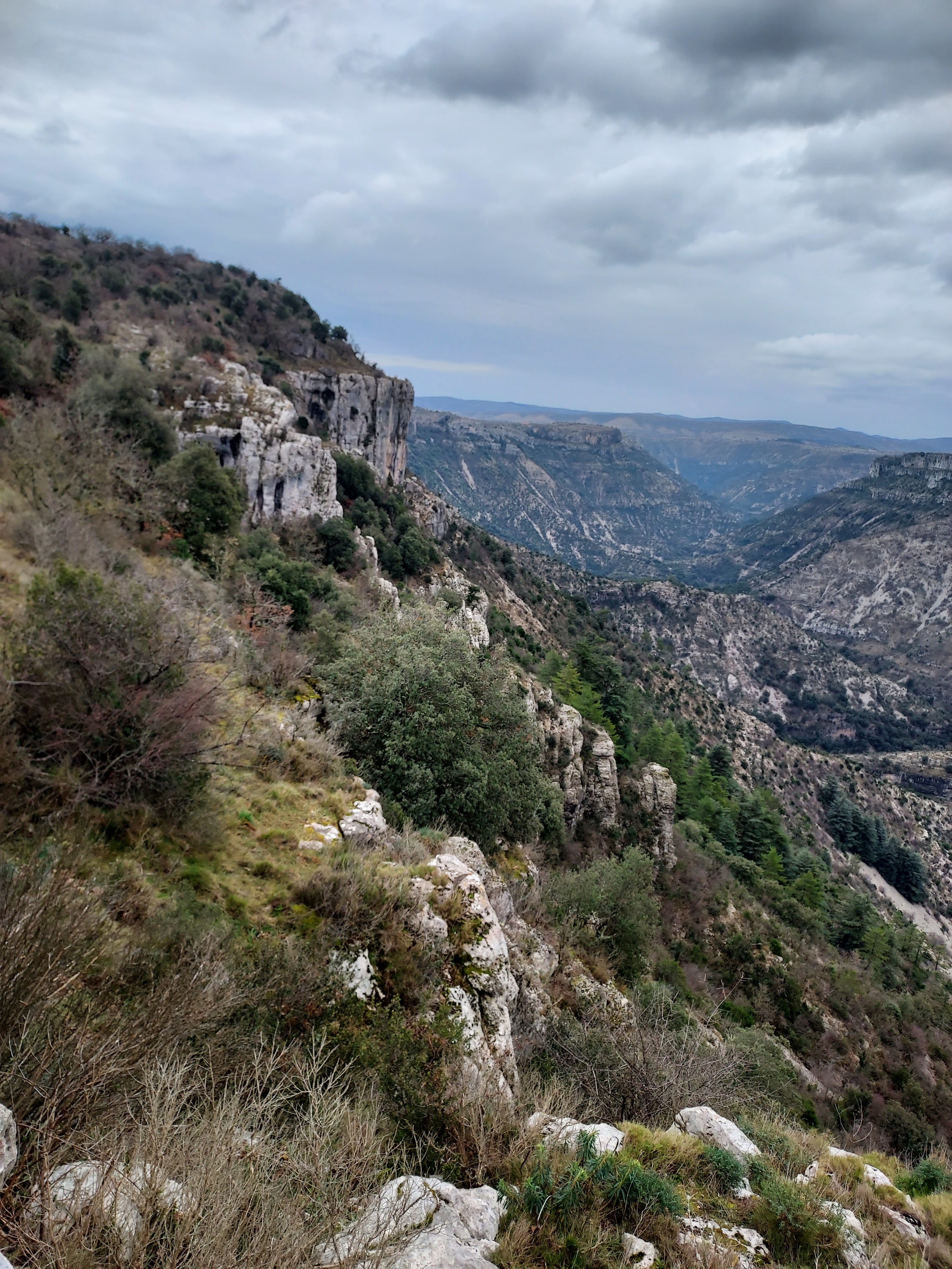 Photo n° 2 de l'avis de Valérie.e fait le 25/02/2023 à 16:39