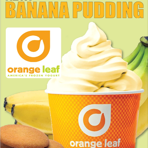 Frozen Yogurt Shop «Orange Leaf Frozen Yogurt», reviews and photos, 1350 NW 18th St, Ankeny, IA 50023, USA