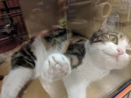 Pet Supply Store «PetSmart», reviews and photos, 745 W Huntington Dr, Monrovia, CA 91016, USA