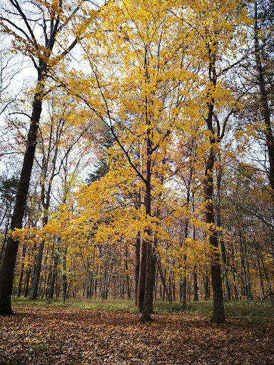 State Park «Long Hunter State Park», reviews and photos, 2910 Hobson Pike, Hermitage, TN 37076, USA