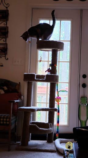 Pet Supply Store «PetSmart», reviews and photos, 248 Westminster Dr, Carlisle, PA 17013, USA