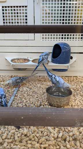 Pet Supply Store «PetSmart», reviews and photos, 215 N Burkhardt Rd, Evansville, IN 47715, USA