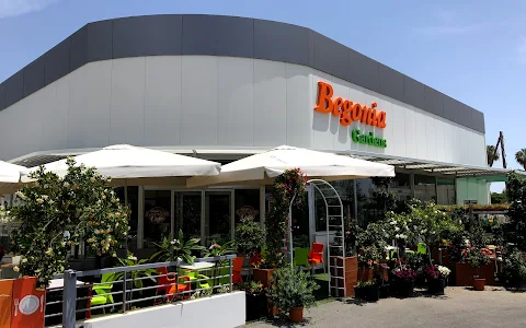 Begonia Garden Centre image