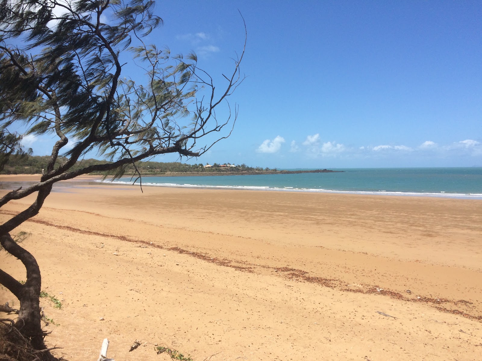 Photo de Grasstree Beach avec rivage droit, long
