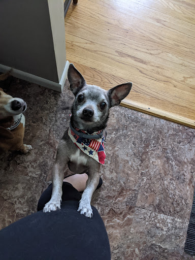 Pet Supply Store «Animal House Grooming & Quality», reviews and photos, 229 W Absecon Blvd, Absecon, NJ 08201, USA