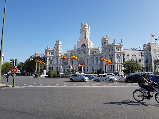 Asociación ALBA ONGD en Alcorcón