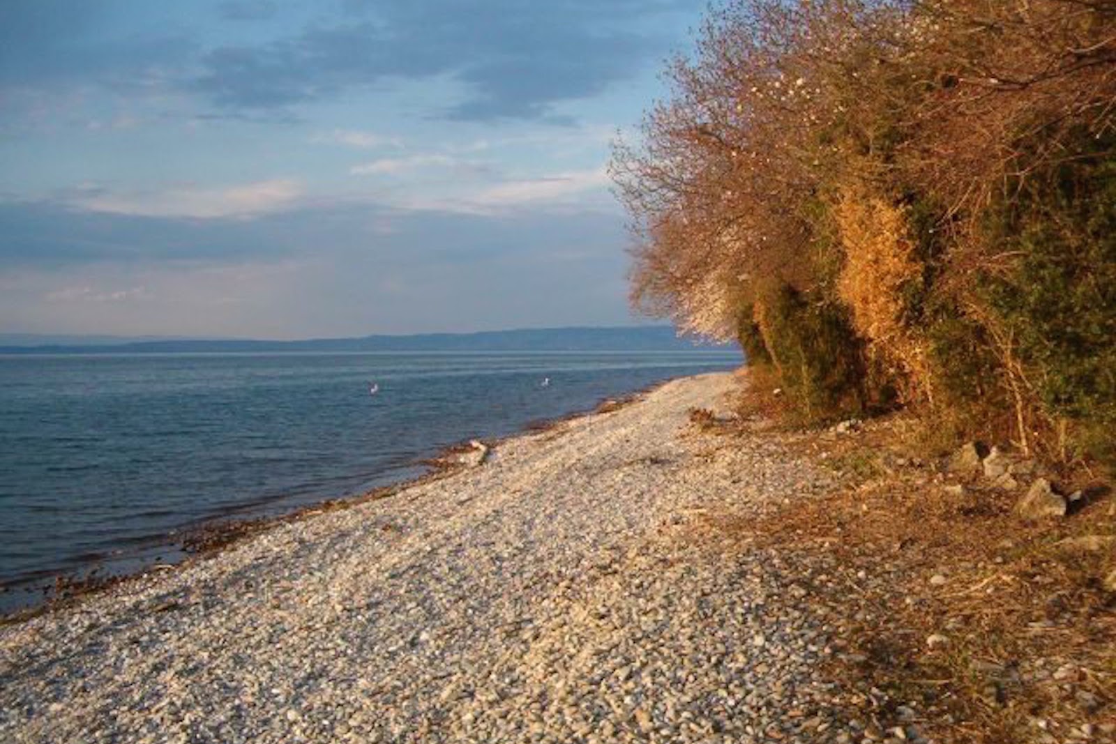 Plage naturiste de La Pinede'in fotoğrafı doğal alan içinde bulunmaktadır