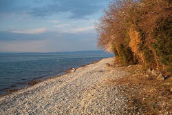 Plage naturiste de La Pinede'in fotoğrafı doğal alan içinde bulunmaktadır