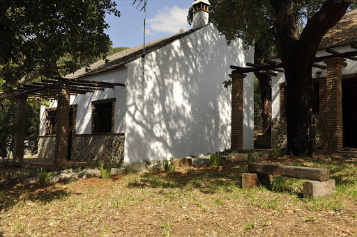 RESTAURANTE LOS CACHOLLAS