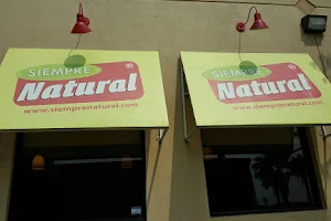 Siempre Natural 'Shary' image