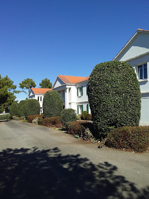 Fred BARREAU Paysage à Saint-Hilaire-de-Riez