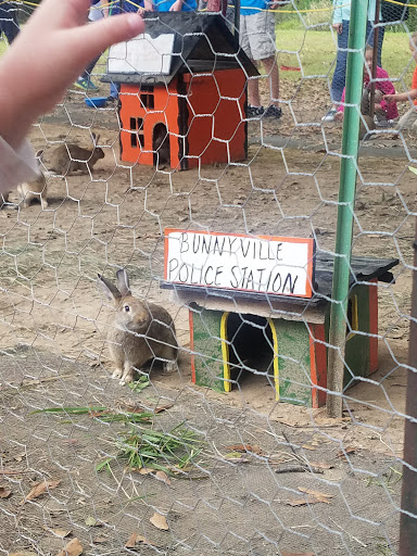 Tourist Attraction «Cajun Country Corn», reviews and photos, 40833 LA-16, Amite City, LA 70422, USA