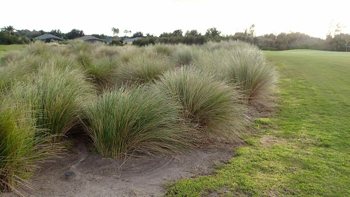 Golf Course «Royal St. Cloud Golf Links», reviews and photos, 5310 Michigan Ave, St Cloud, FL 34769, USA