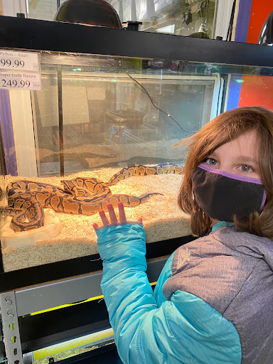 Pet Store «Tye-Dyed Iguana - Reptiles», reviews and photos, 1905 W U.S. 50, Fairview Heights, IL 62208, USA