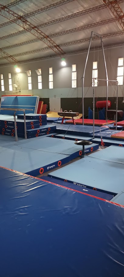 DELUXE GIMNASTICS