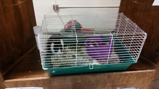 Pet Supply Store «Saluda River Pet», reviews and photos, 130 Robin Helton Dr, Boiling Springs, SC 29316, USA