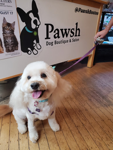 Pet Store «Pawsh Dog Boutique», reviews and photos, 31 Gloucester St, Boston, MA 02115, USA